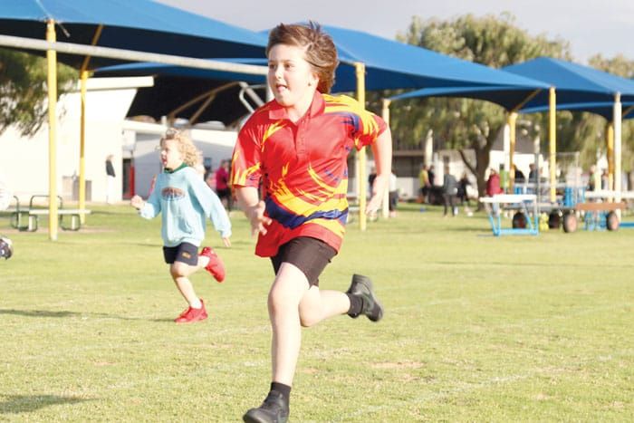NYP Little Athletics post image