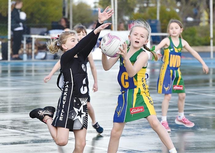 Minlaton’s giant junior carnival post image