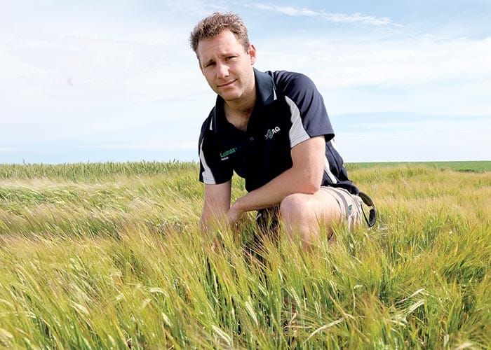 Farmers face tough choices post image
