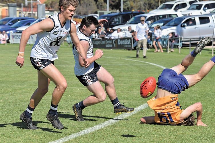 YPFL A grade first semifinal - Cougar kick after siren goes begging post image