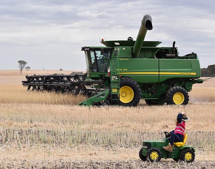 Capturing life on the land post image