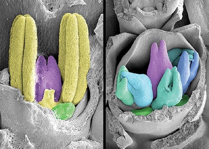 Cracking the code for better barley crops post image