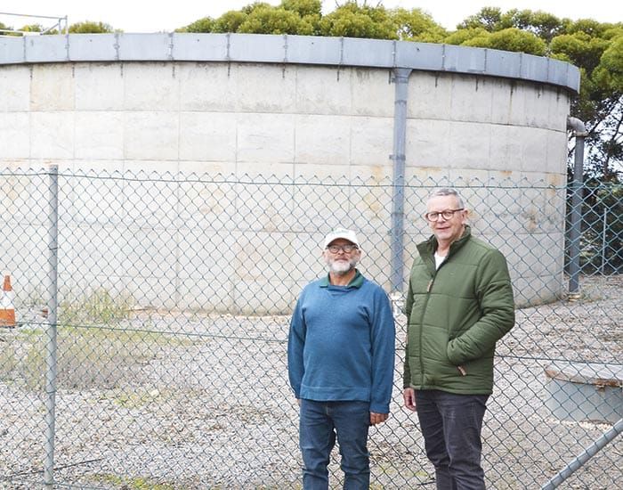 YPC planning to extend mural trail post image