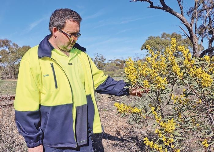 Funding for northern YP environmental projects post image