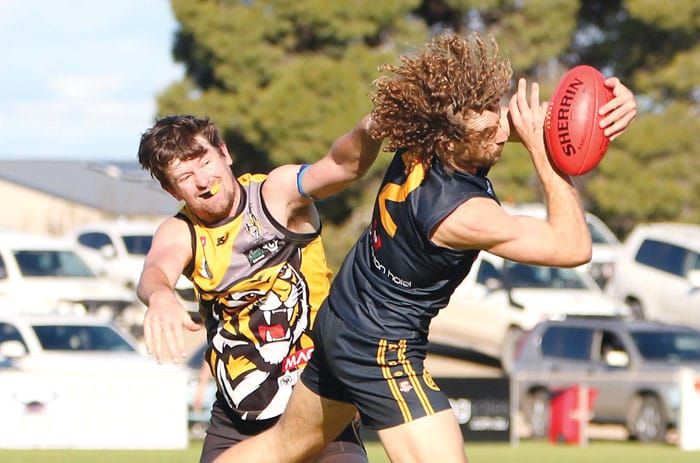NAFA: Hewett’s seven goals help to topple Tigers post image