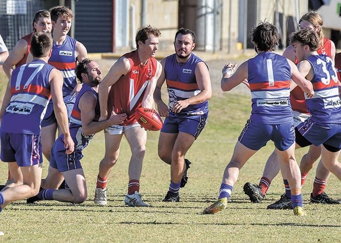 Wallaroo kicks its way to a win post image
