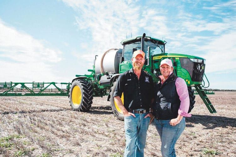 Beating glyphosate-resistant grasses in summer fallow post image