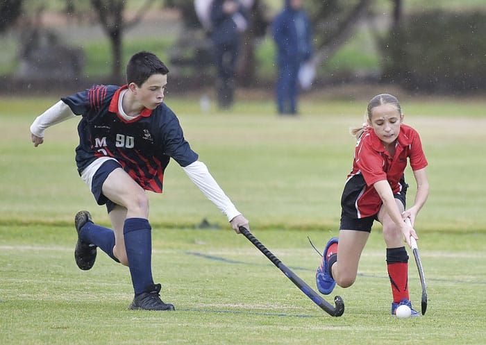 YP Hockey Association scores post image