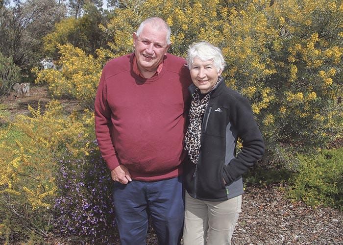 Carers celebrated for their vital roles post image