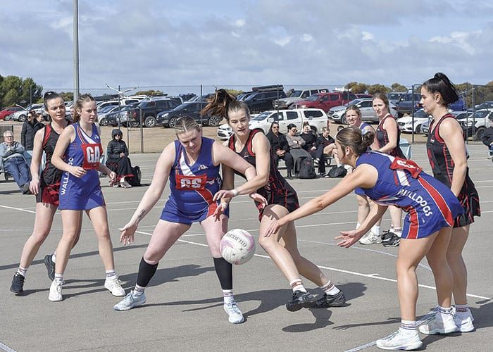 YP netball scores and reports post image