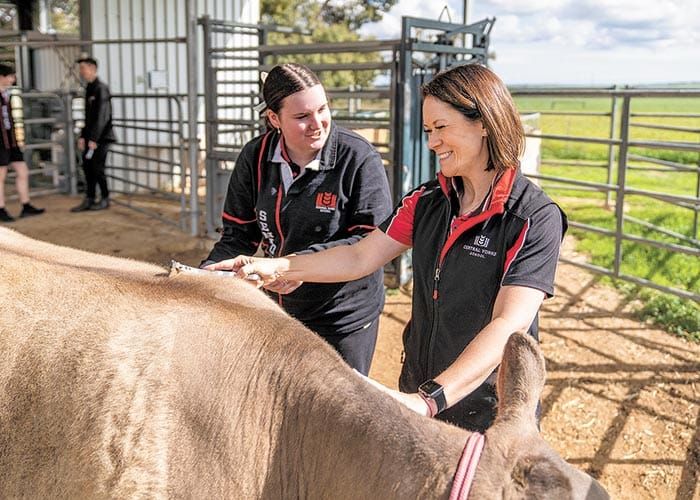 Teachers recognised on national stage post image