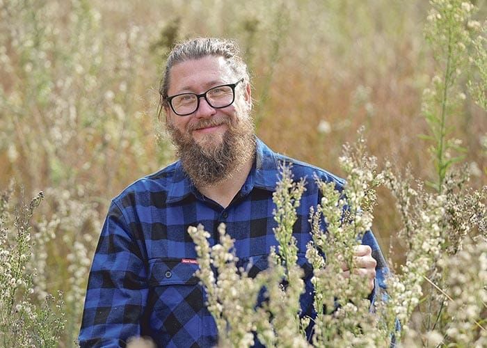 Fungus to fight fleabane post image