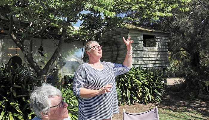 Warooka Garden Club members busy in 2021 post image