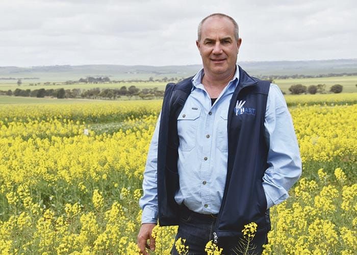 Hart Field Day returns for 40th anniversary post image