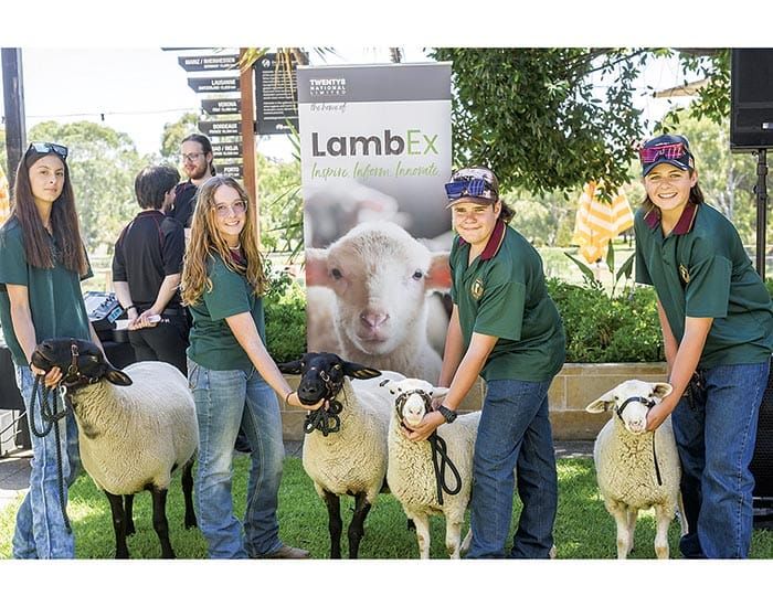 LambEx returns to Adelaide post image
