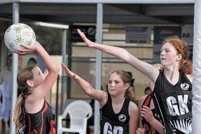 YP Netball: All comes down to this post image