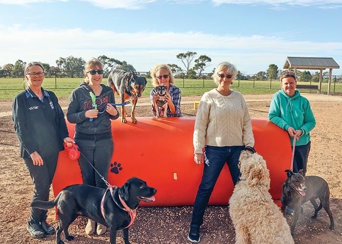 Paw-some park progress post image