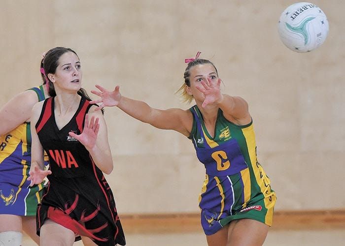 YPNA scores and reports post image