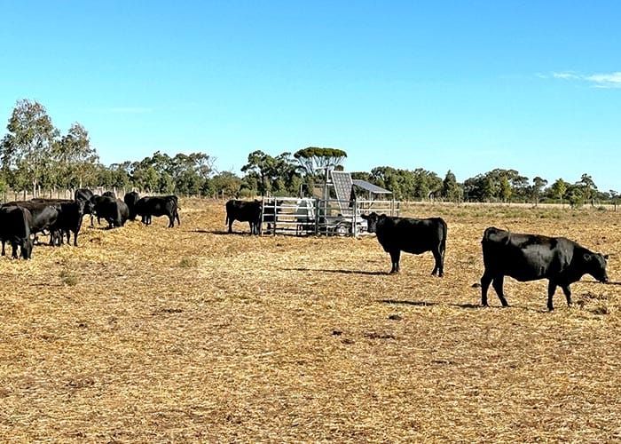 Research into methane production post image