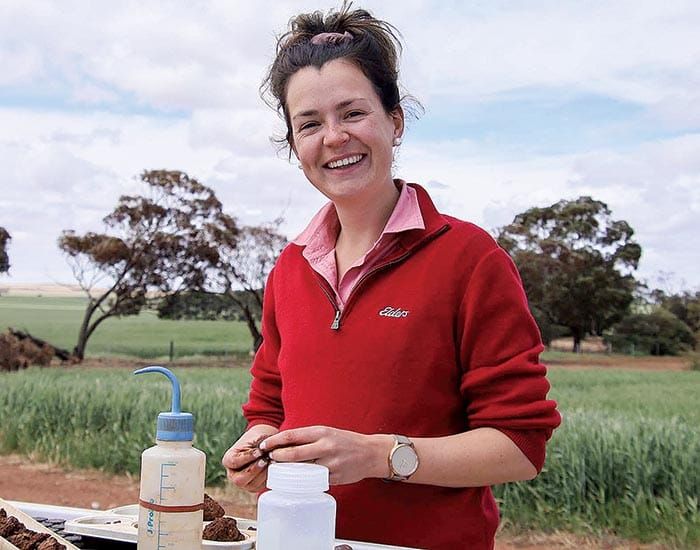 Spalding update to reveal latest from crop trials post image