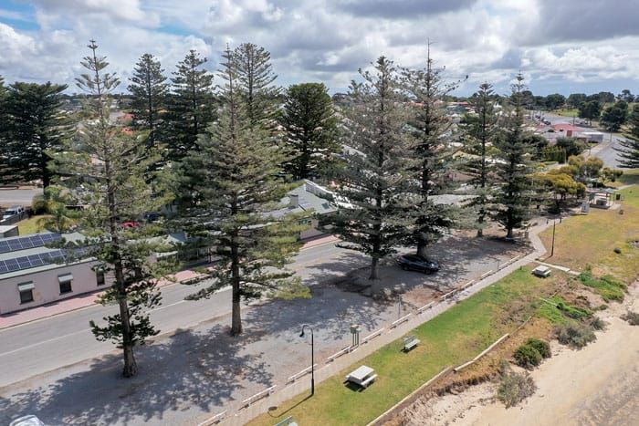 Debate takes root in council chambers post image