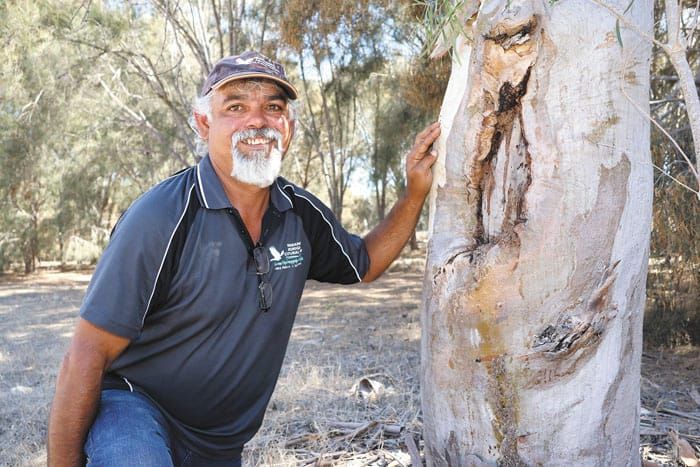 Archaeology studies to pull focus on YP heritage post image