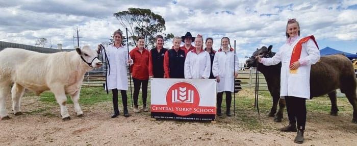 Central Yorke School reaps rewards post image