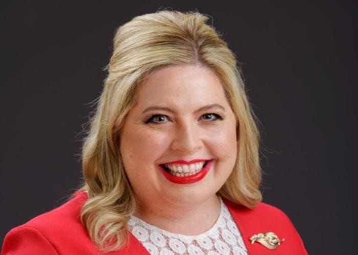 Full review of child protection legislation post image