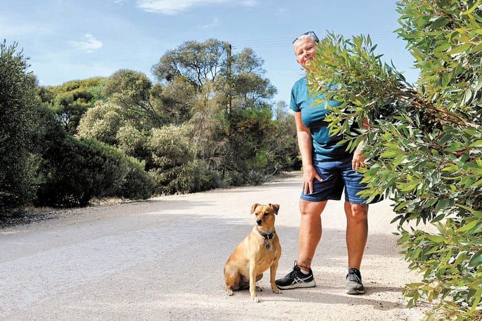 Fund our roads: Wool Bay won’t be left behind post image