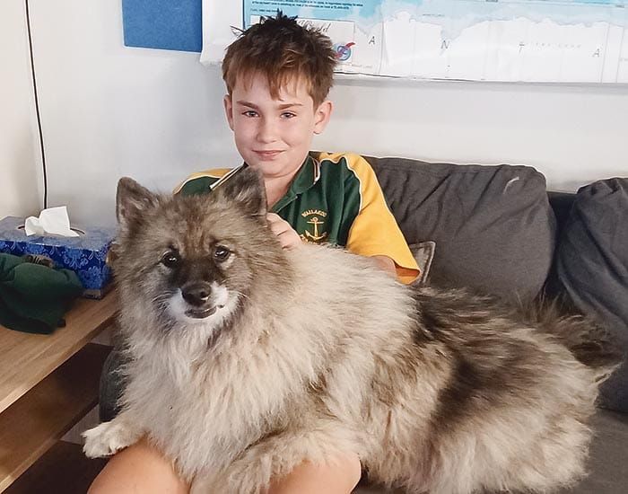 Pink promoted to Wallaroo Primary’s Wellbeing Dog post image