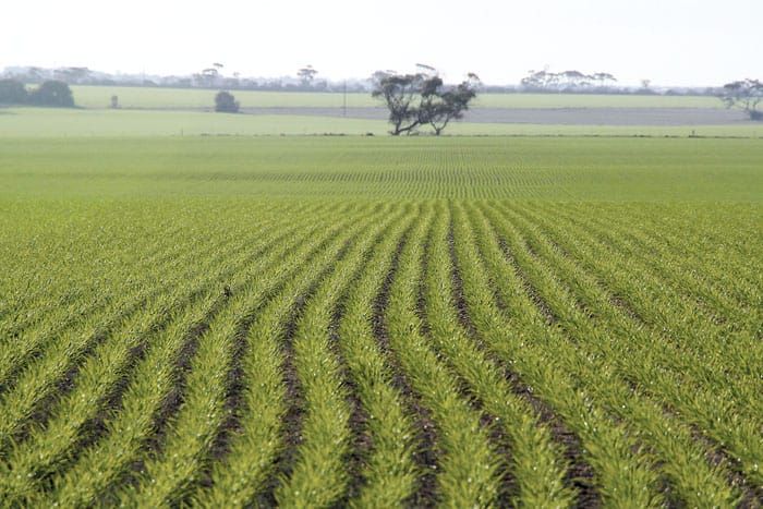 Solid start to season post image