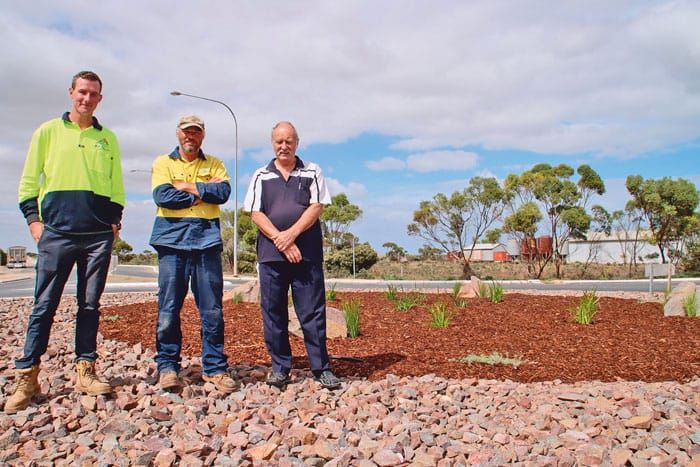 Greening up roundabout post image
