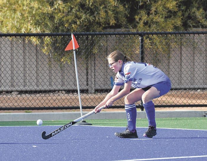 Help out your hockey club post image