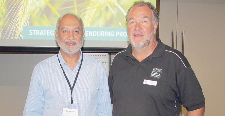 Frost forecast? Delay the spray post image