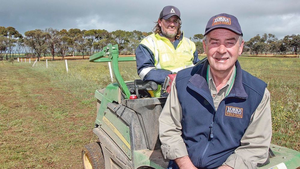 Countdown is on to 2021 YP Field Days — one year to go post image