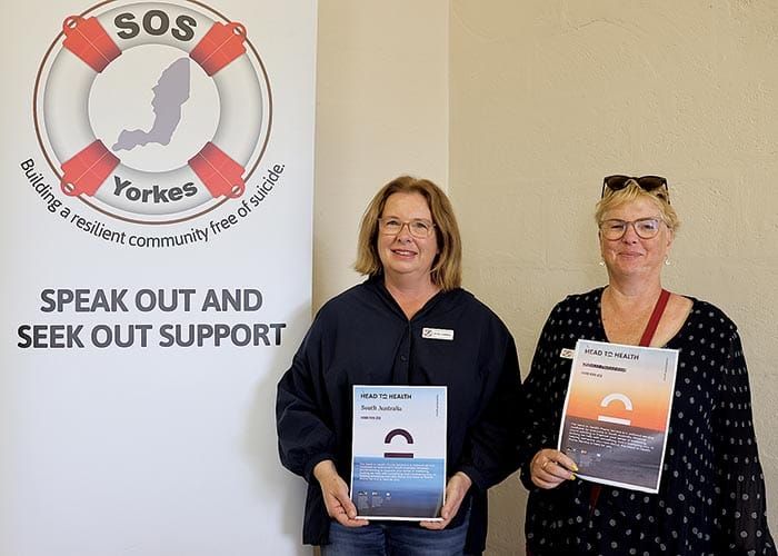 Search for youth mental health support post image