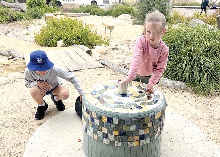 New plover pod nests at Point Turton post image