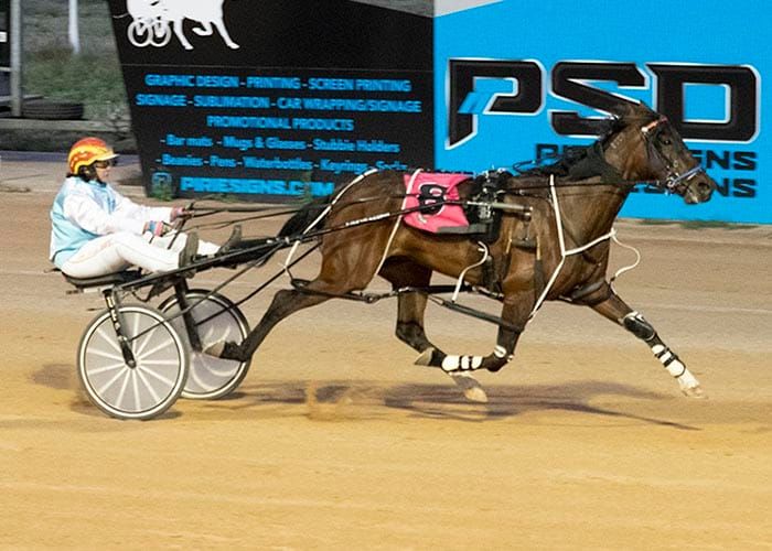 YP Harness Racing News post image