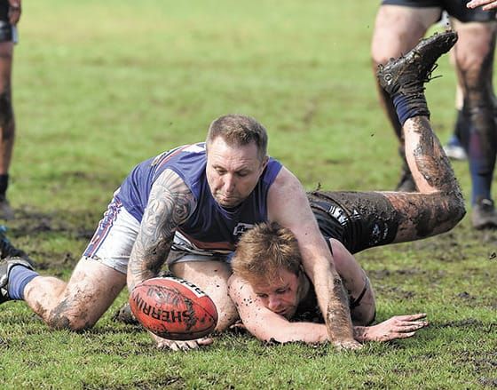 YPFL: Cougars defeat gallant Dogs post image