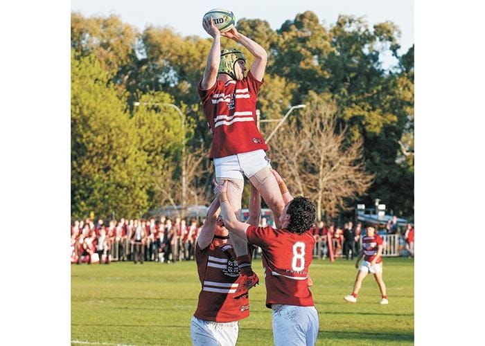 Pointon plays firsts rugby post image