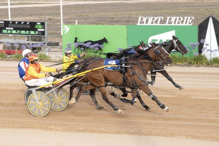 YP Harness Racing Club news post image