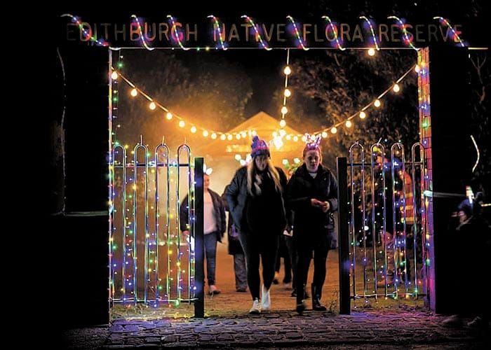 Brighter lights in 2023 post image