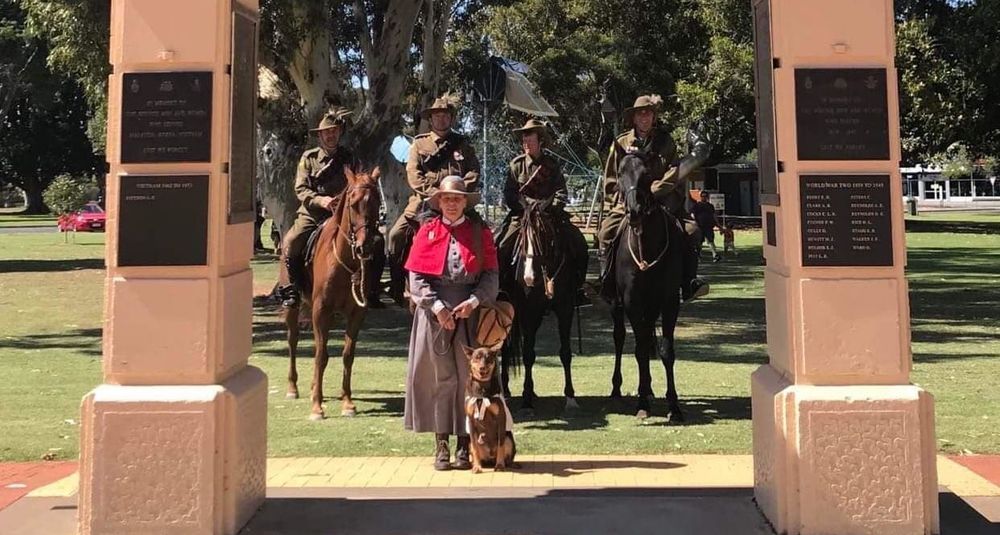 Light horses stop traffic post image