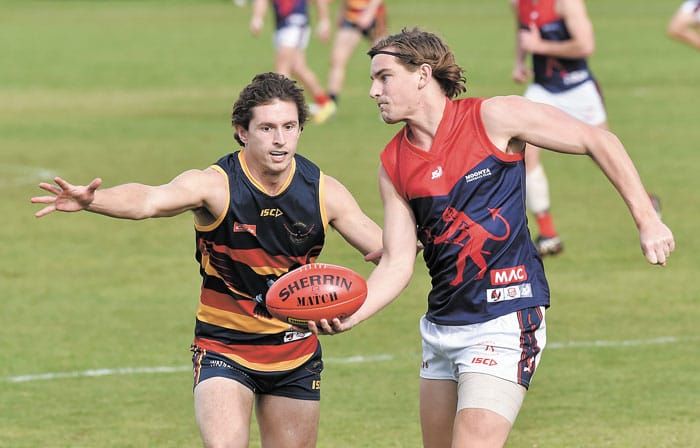 YPFL: No rain yet on Crows’ back-to-back parade post image