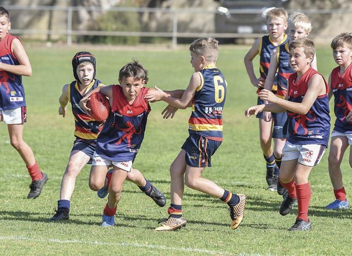 Junior football and netball carnivals back post image