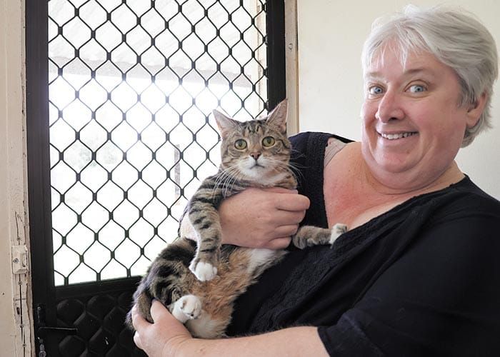 Elderly cats given a new lease of life post image