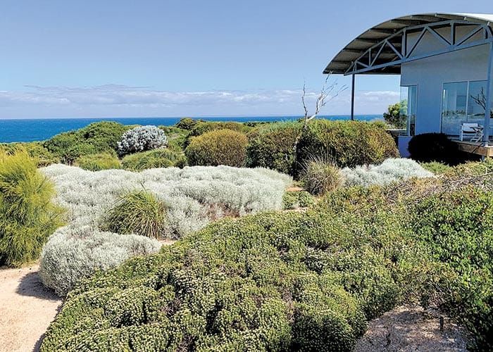 Coastal gardening workshops on YP post image
