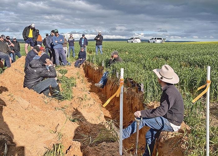 Pulling the profit levers for tackling sandy soils post image
