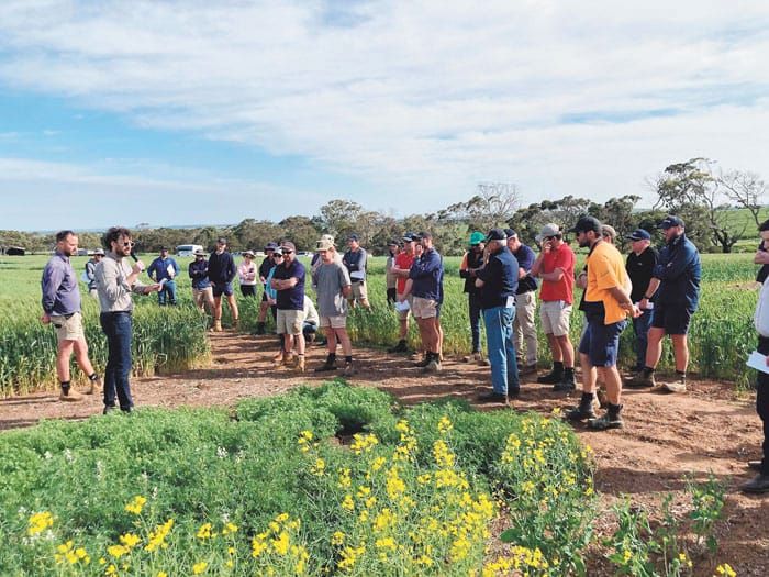 Farming systems project to inform decision-making post image