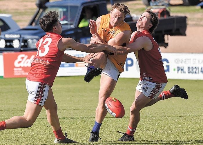 Roosters reign supreme post image